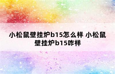 小松鼠壁挂炉b15怎么样 小松鼠壁挂炉b15咋样